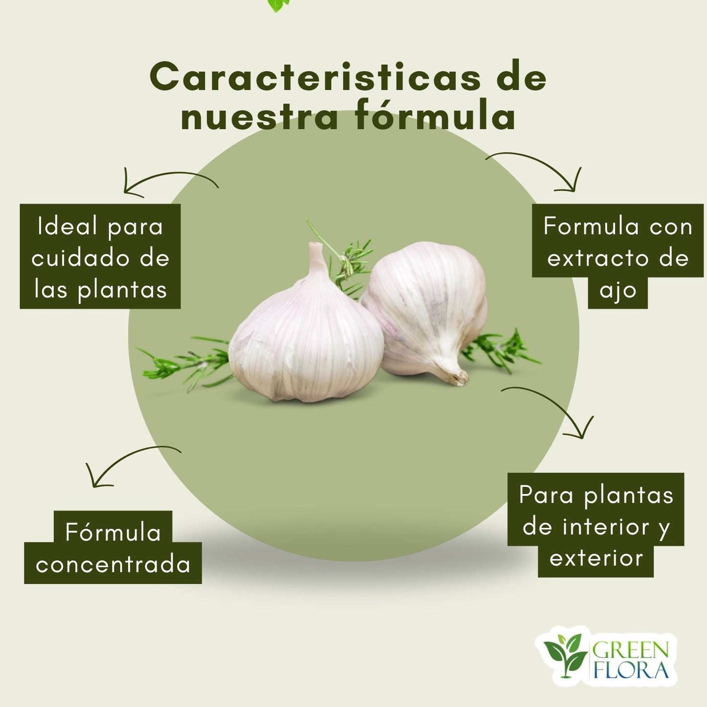 Jabón Potásico con Ajo para Plantas | Rinde 4 L