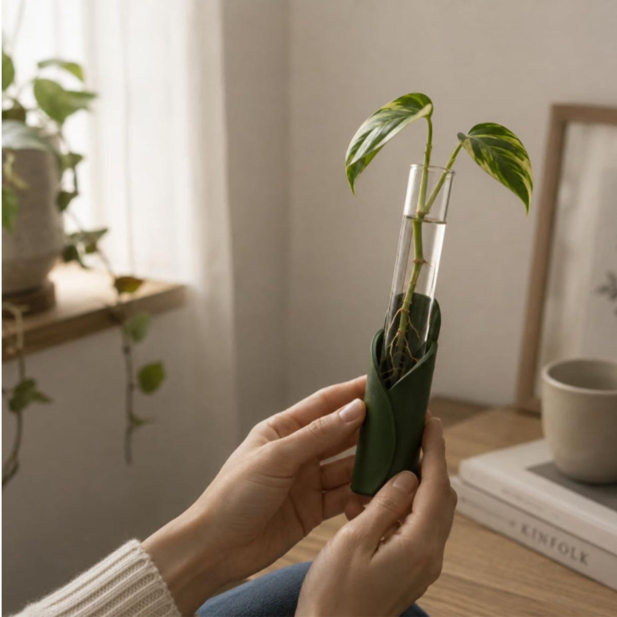 Kit de Propagación para Plantas de Pared y Mesa | Set de 6