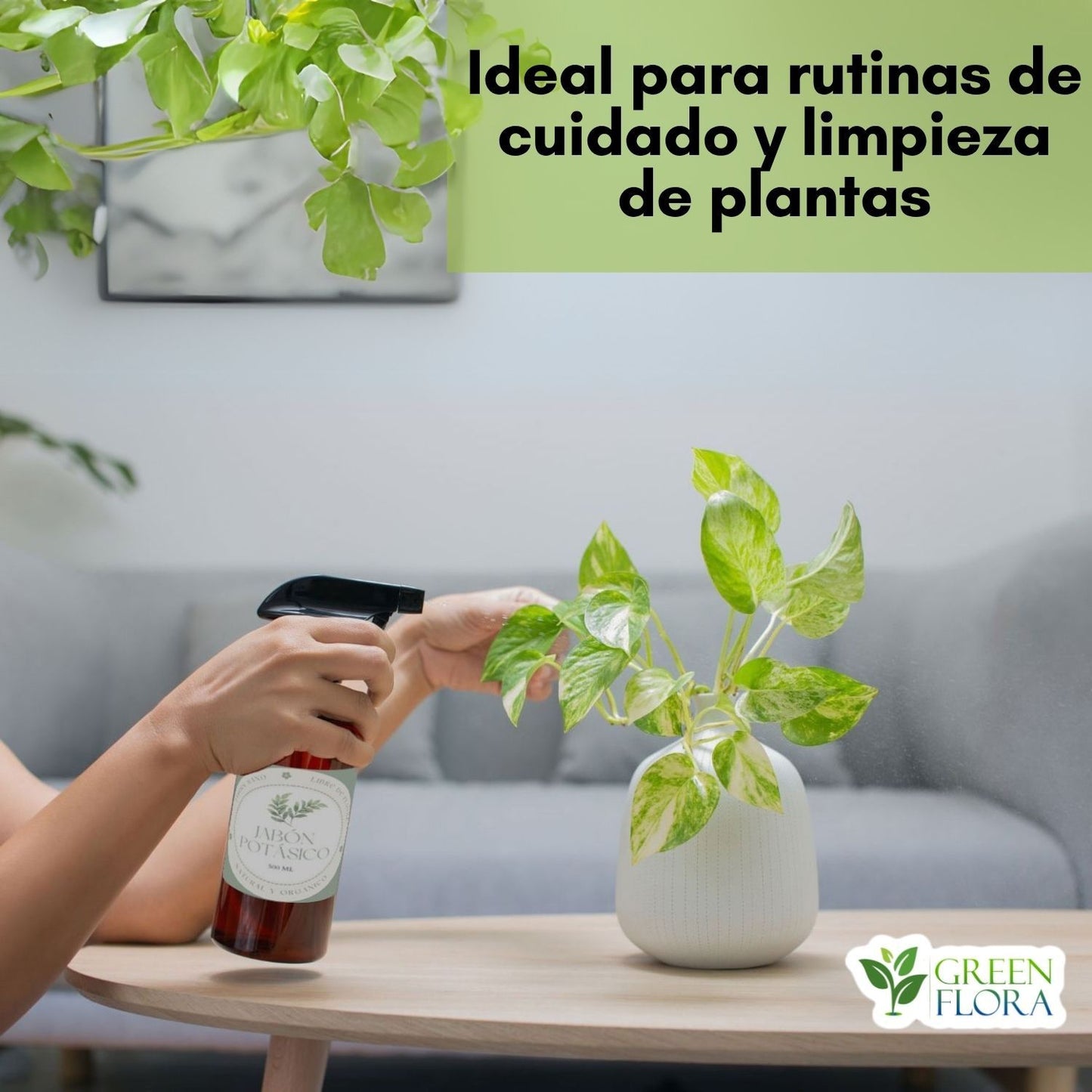 Jabón Potásico con Ajo para Plantas | Rinde 4 L