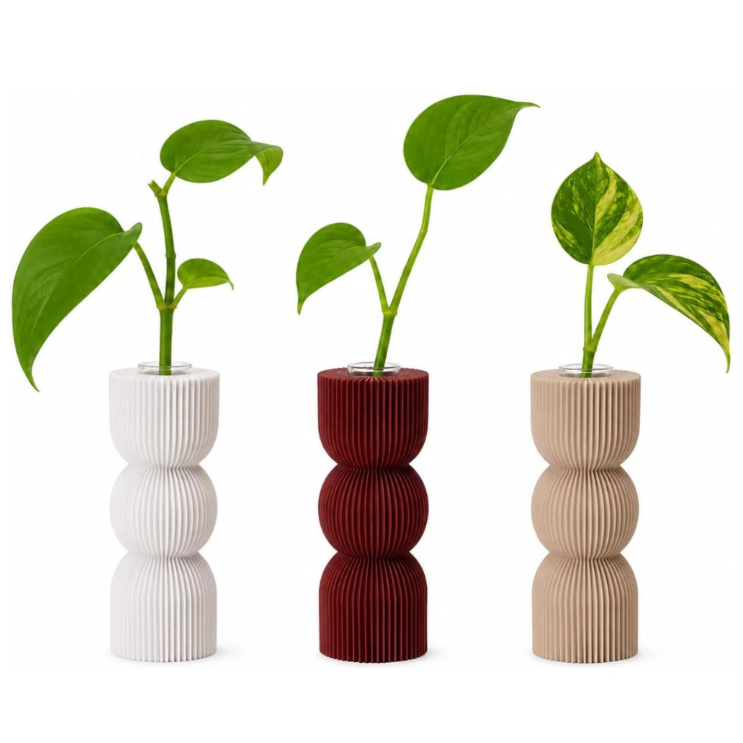 Macetas para Esquejes con Tubo de Vidrio Clásico – Set de 3