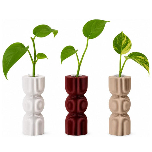 Macetas para Esquejes con Tubo de Vidrio Clásico – Set de 3
