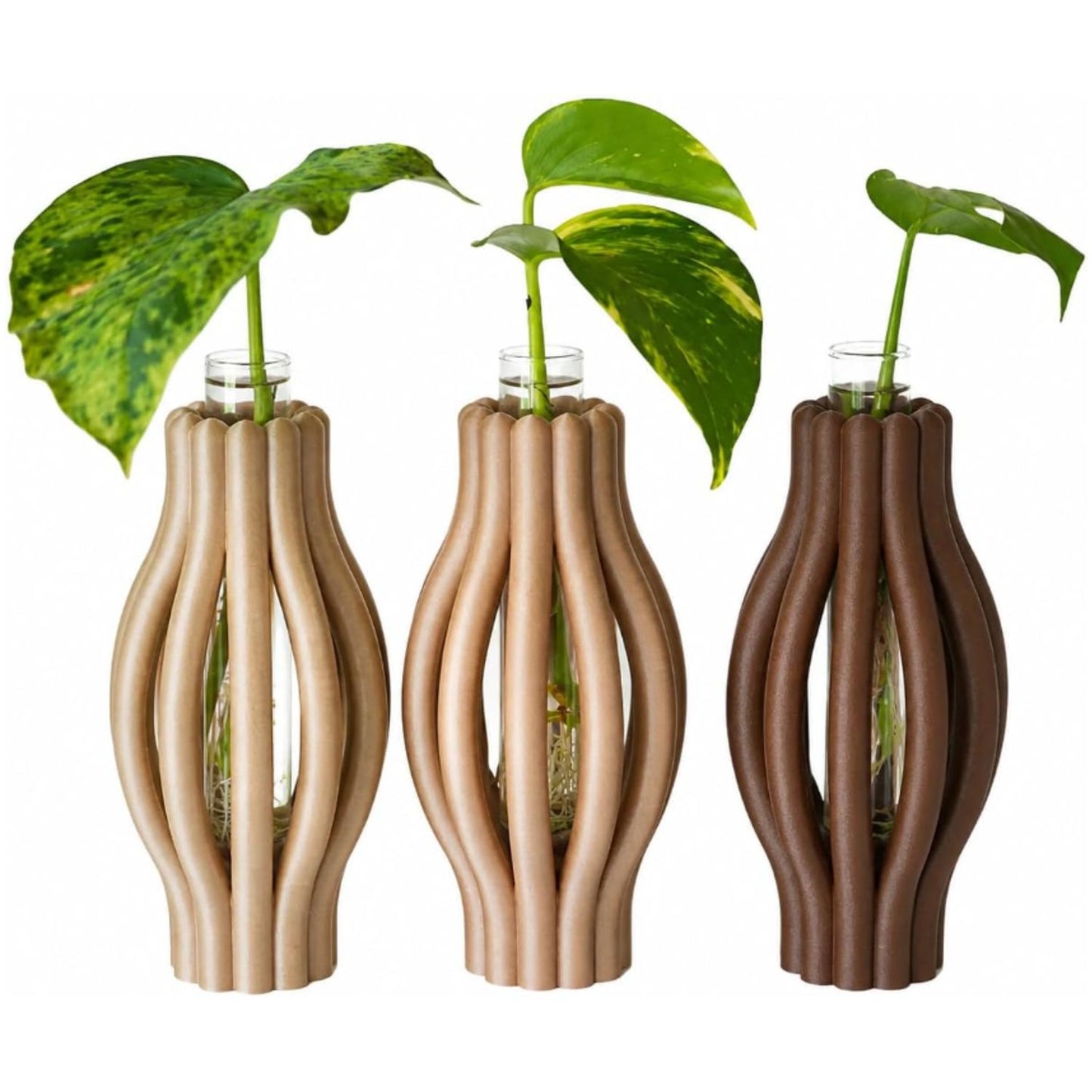 Macetas para Propagación con Tubos de Vidrio Abierta – Set de 3