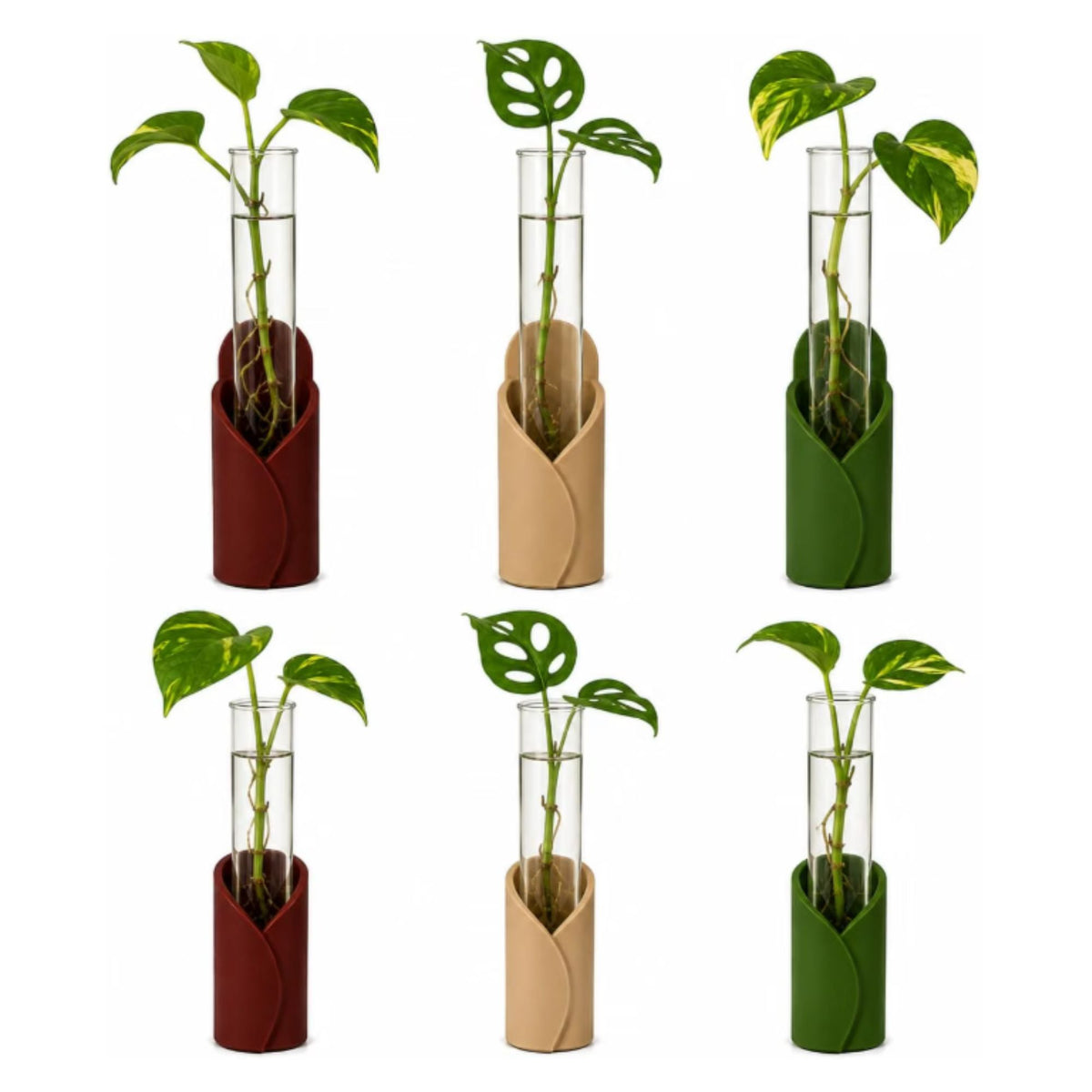 Kit de Propagación para Plantas de Pared y Mesa | Set de 6