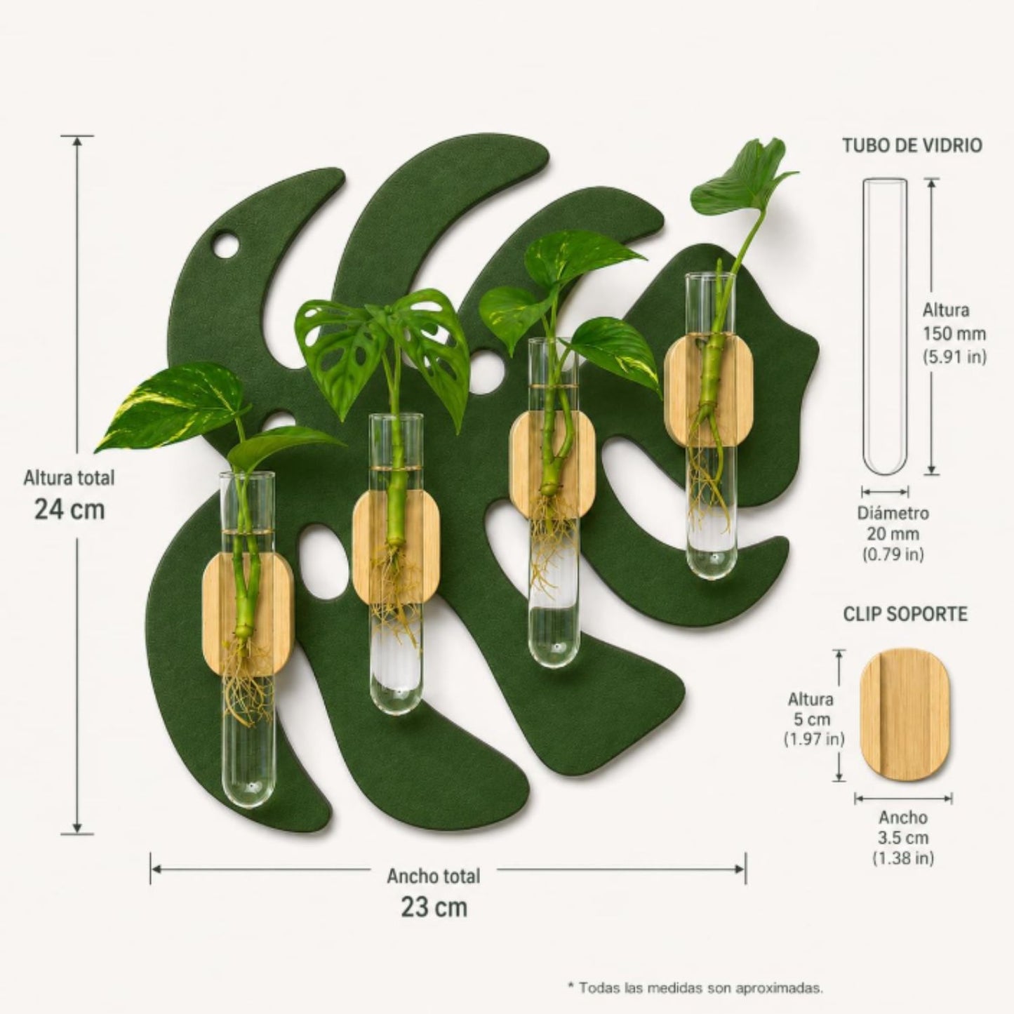 Estación de Propagación Monstera con 4 Tubos de Vidrio