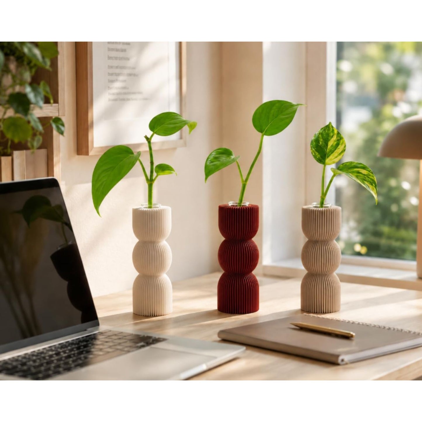 Macetas para Esquejes con Tubo de Vidrio Clásico – Set de 3