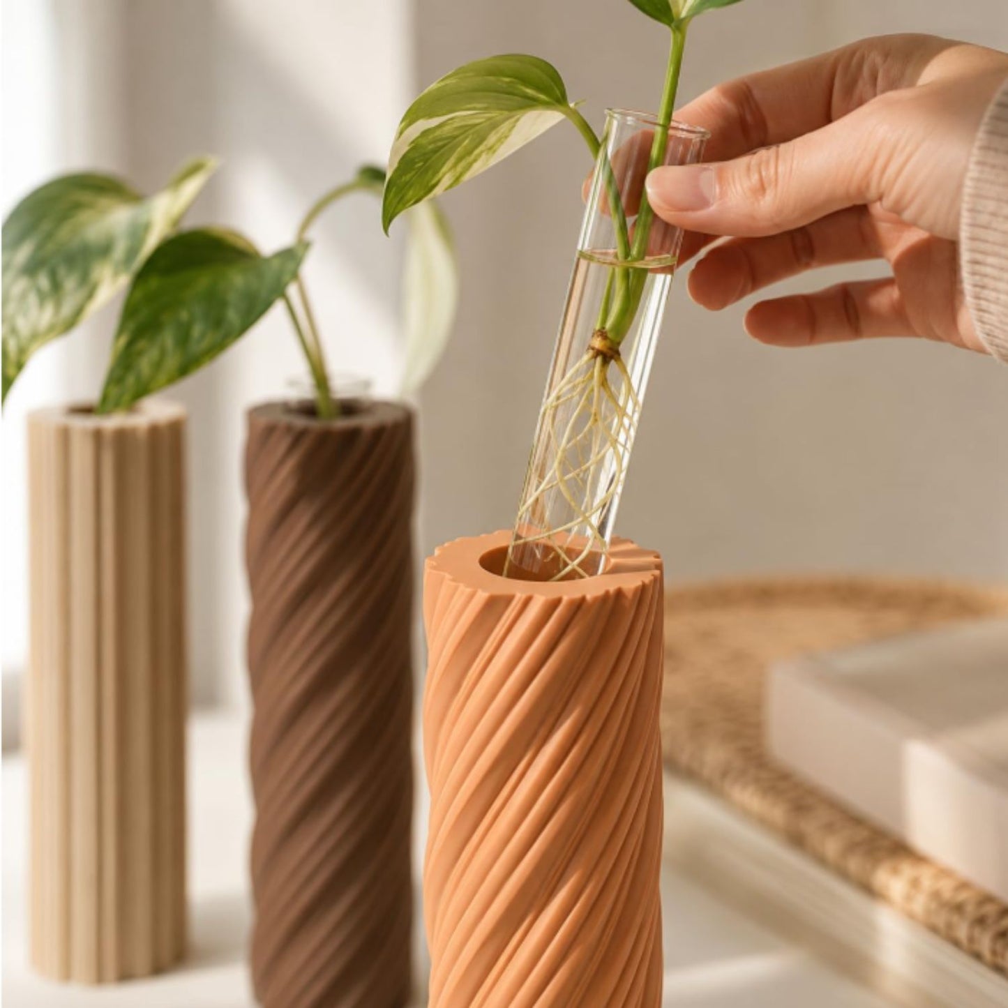 Set de 3 Macetas de Propagación con Tubos de Vidrio – Diseño Twist