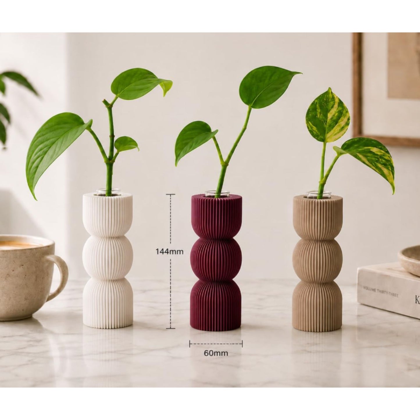 Macetas para Esquejes con Tubo de Vidrio Clásico – Set de 3