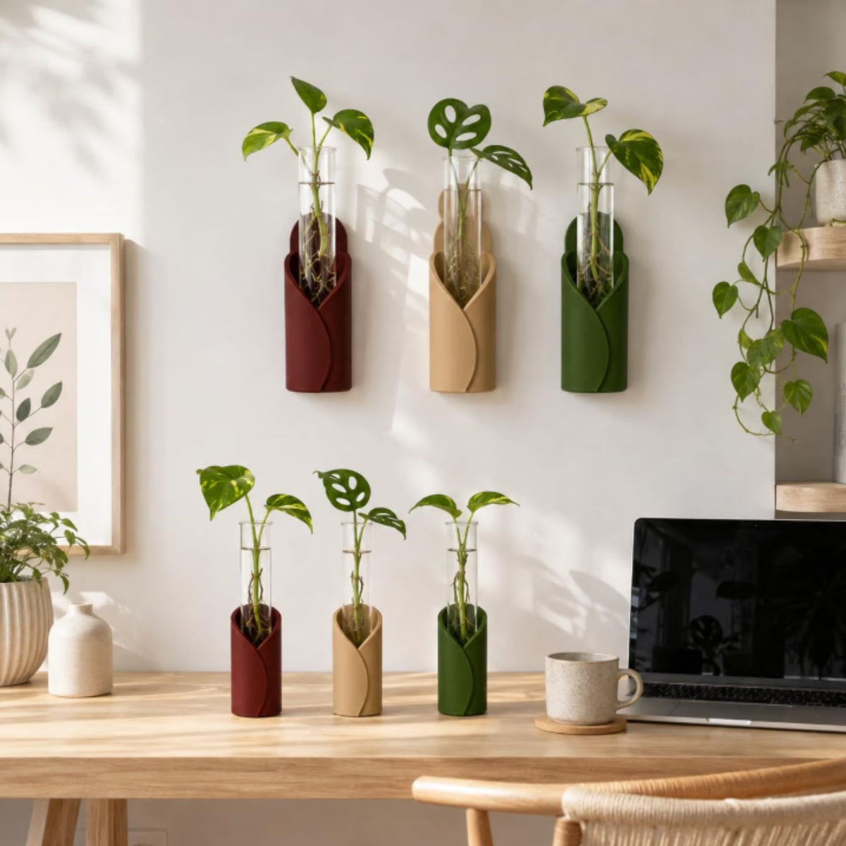 Kit de Propagación para Plantas de Pared y Mesa | Set de 6