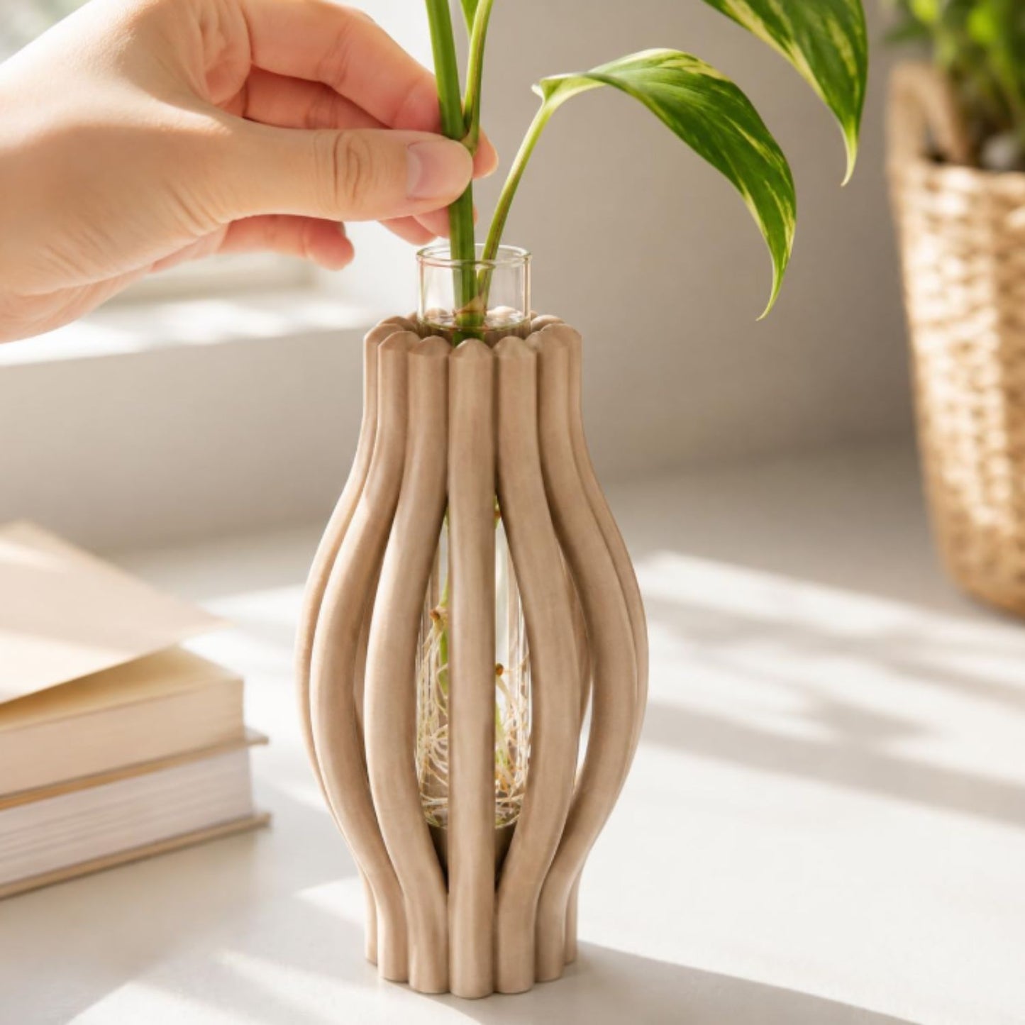 Macetas para Propagación con Tubos de Vidrio Abierta – Set de 3