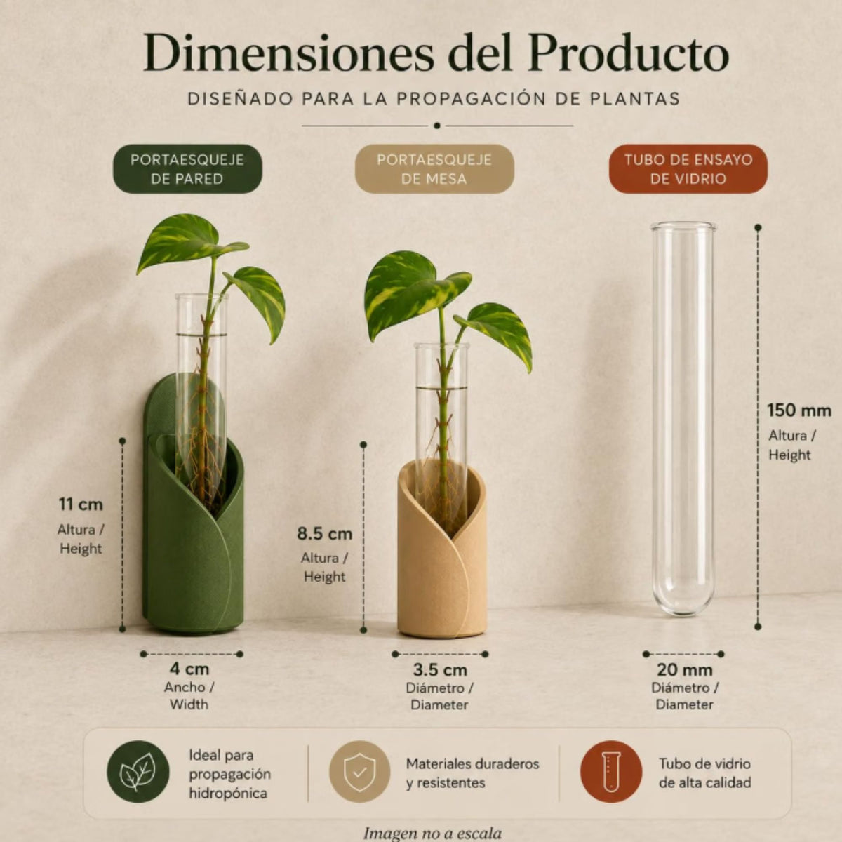 Kit de Propagación para Plantas de Pared y Mesa | Set de 6
