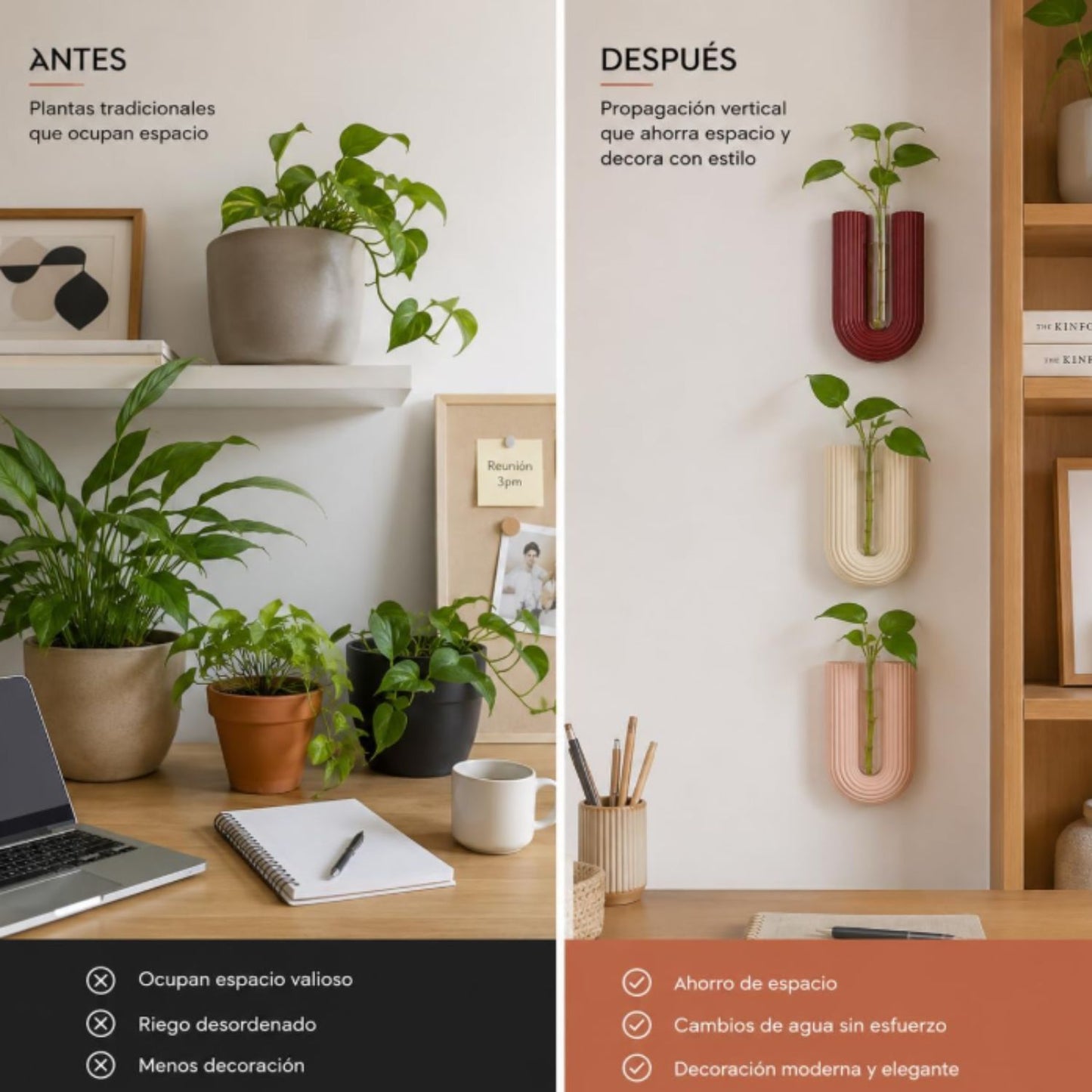 Macetas de Propagación para Pared Arco – Set de 3