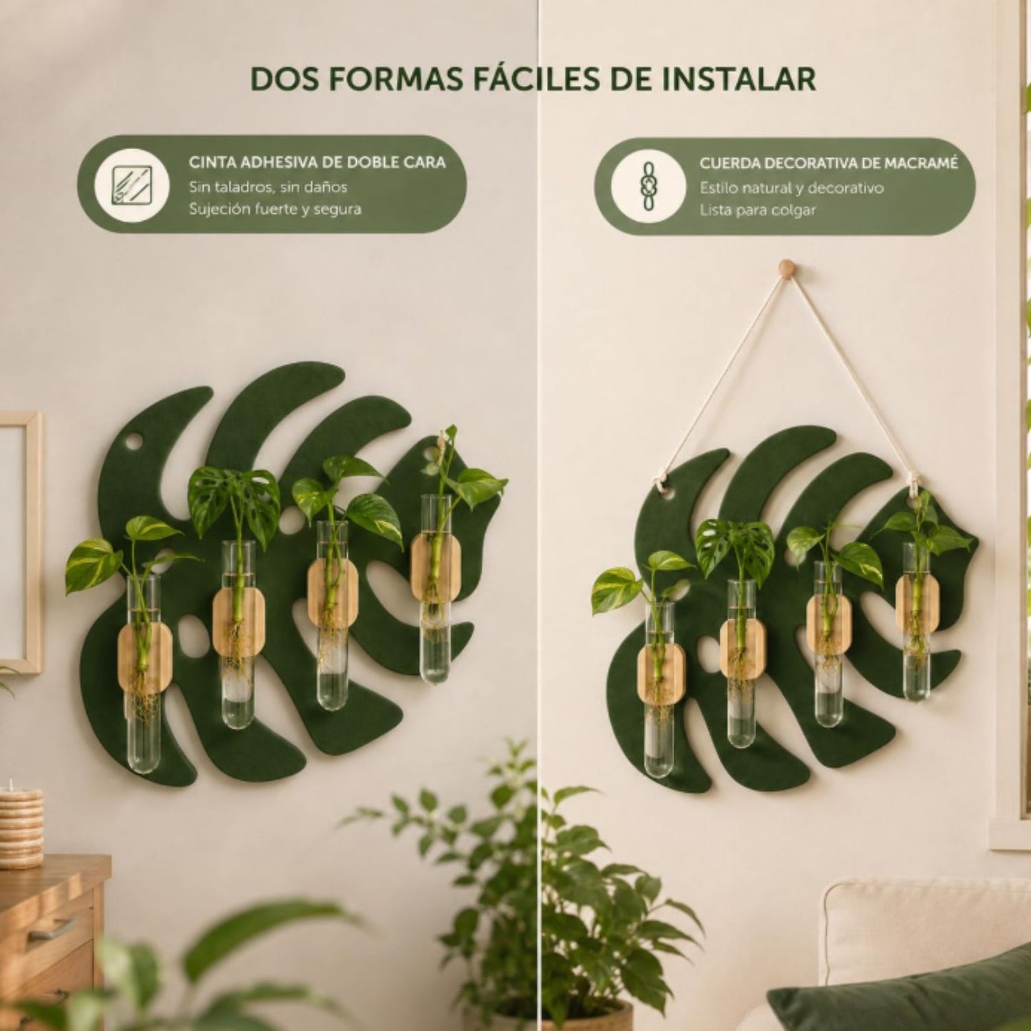 Estación de Propagación Monstera con 4 Tubos de Vidrio