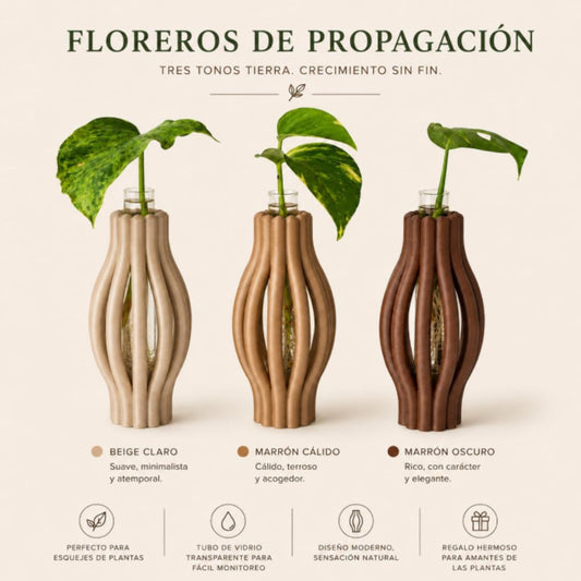 Macetas para Propagación con Tubos de Vidrio Abierta – Set de 3