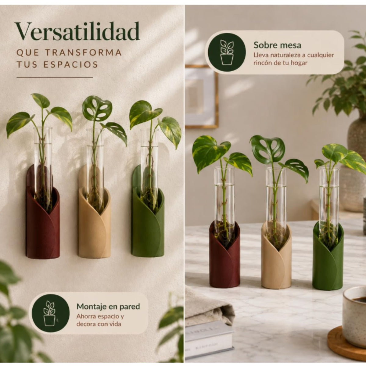 Kit de Propagación para Plantas de Pared y Mesa | Set de 6